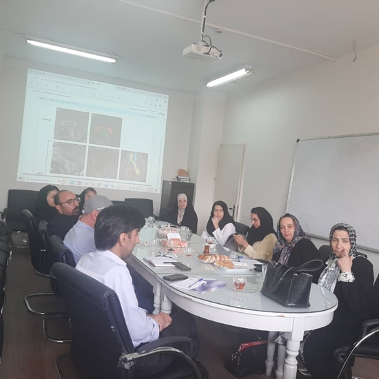 نشست تخصصی پژوهشکده سلامت خانواده و مرکز رویان در حوزه ژنتیک و نوروساینس برگزار شد 